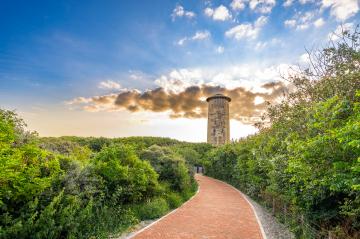 er Weg zum Wasserturm