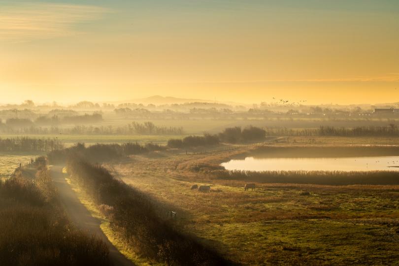 Walcheren im Morgentau