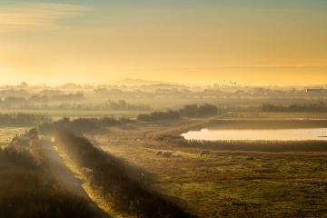 Walcheren im Morgentau