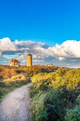 De skyline van de Domburgse duinen (staand)