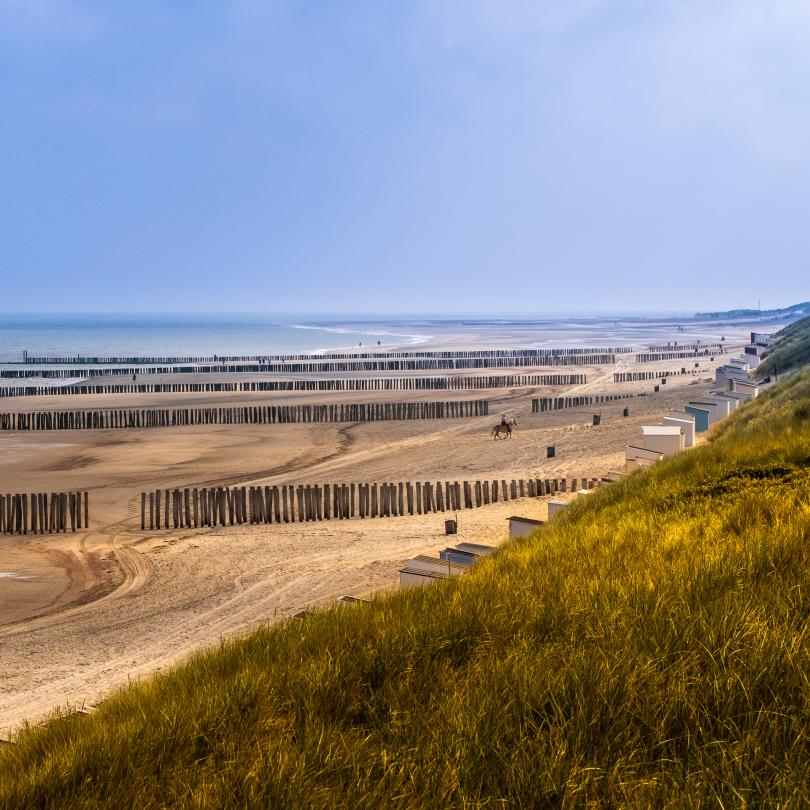 Strand in overvloed