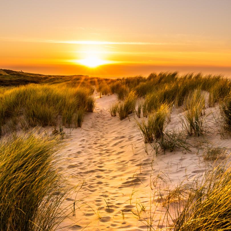 Sonnenuntergang in den Dünen