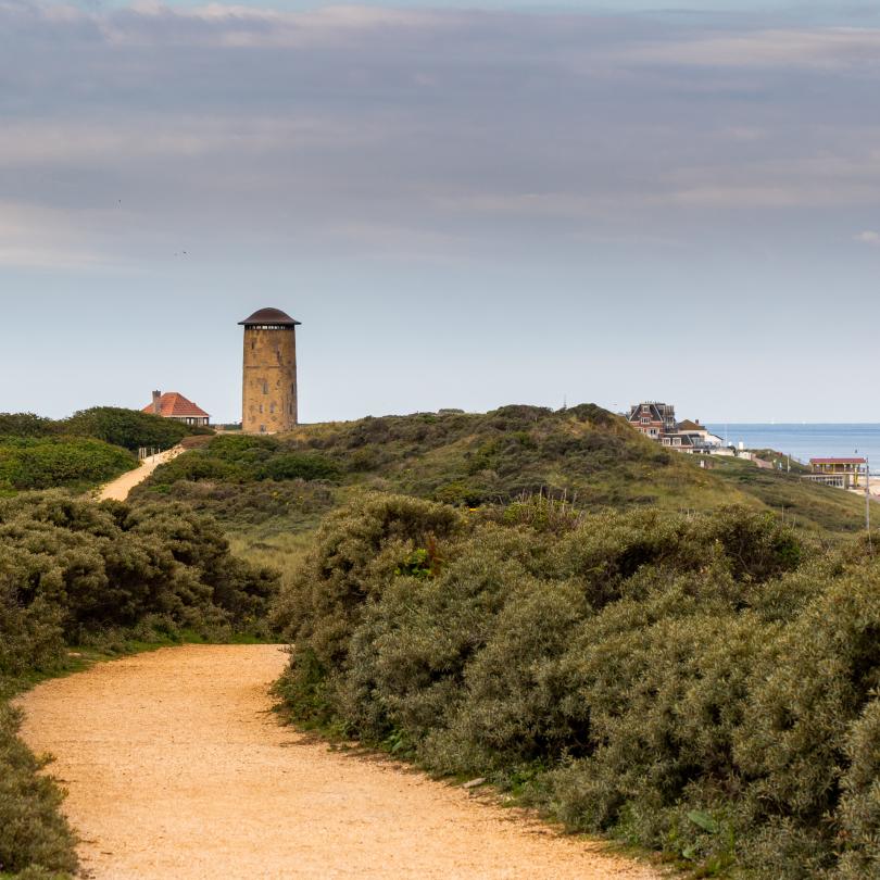 De groene duinen van Domburg