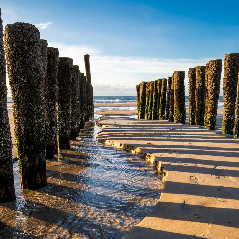 Zonnig paalhoofd op het Domburgse strand