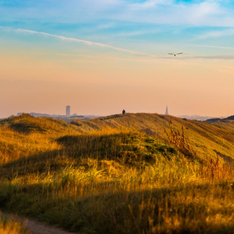 Domburg in der Ferne