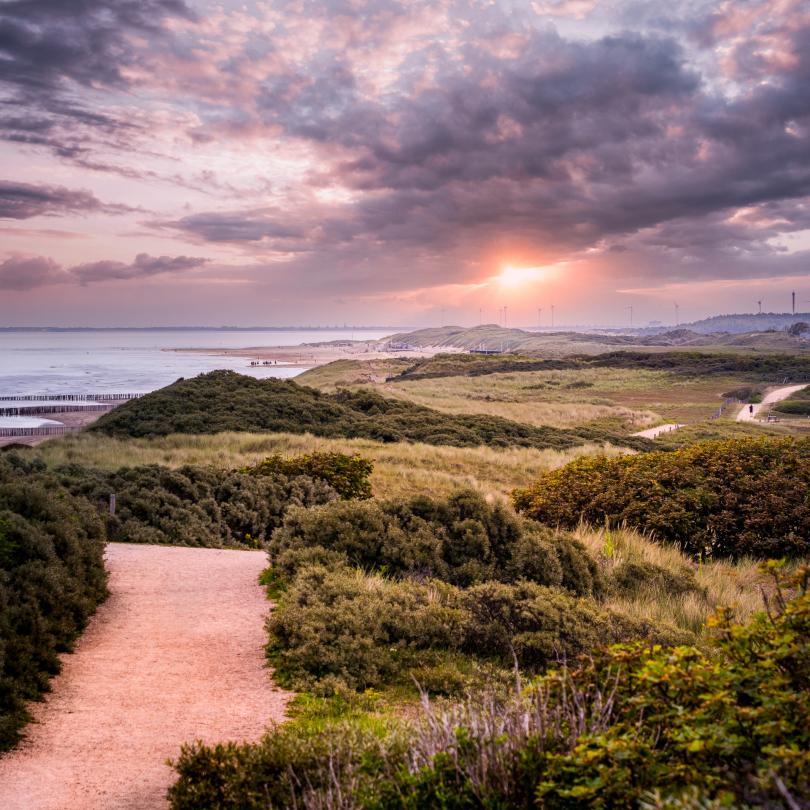Sonnenaufgang in den Dünen von Domburg