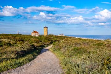 Een wandeling door de duinen #367